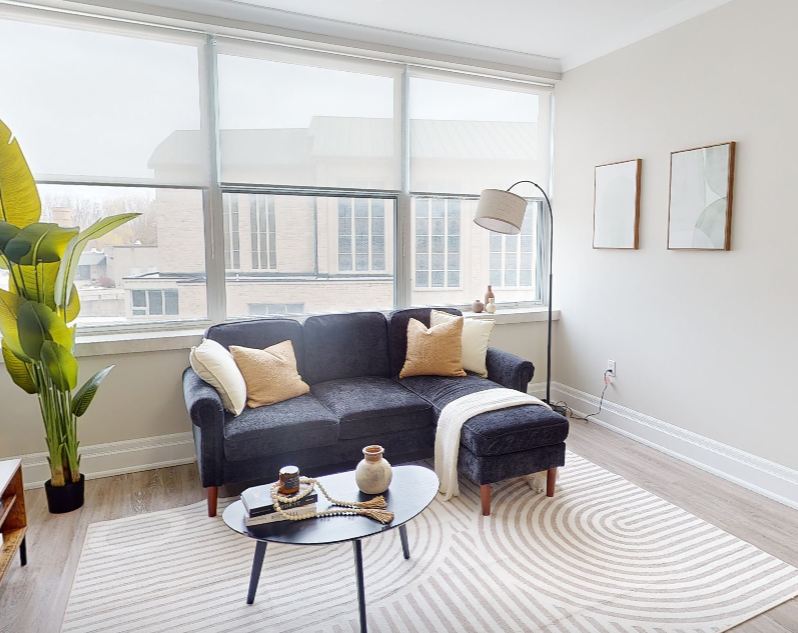 Model Suite